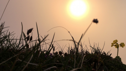 Titelbild_Sonnenaufgänge