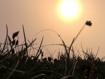 Titelbild_Sonnenaufgänge
