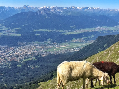 titel pfeis gleirsch