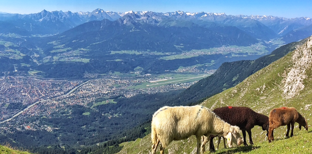 titel pfeis gleirsch