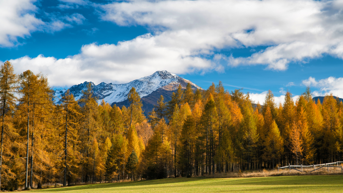 tvb_miemingerplateau_1