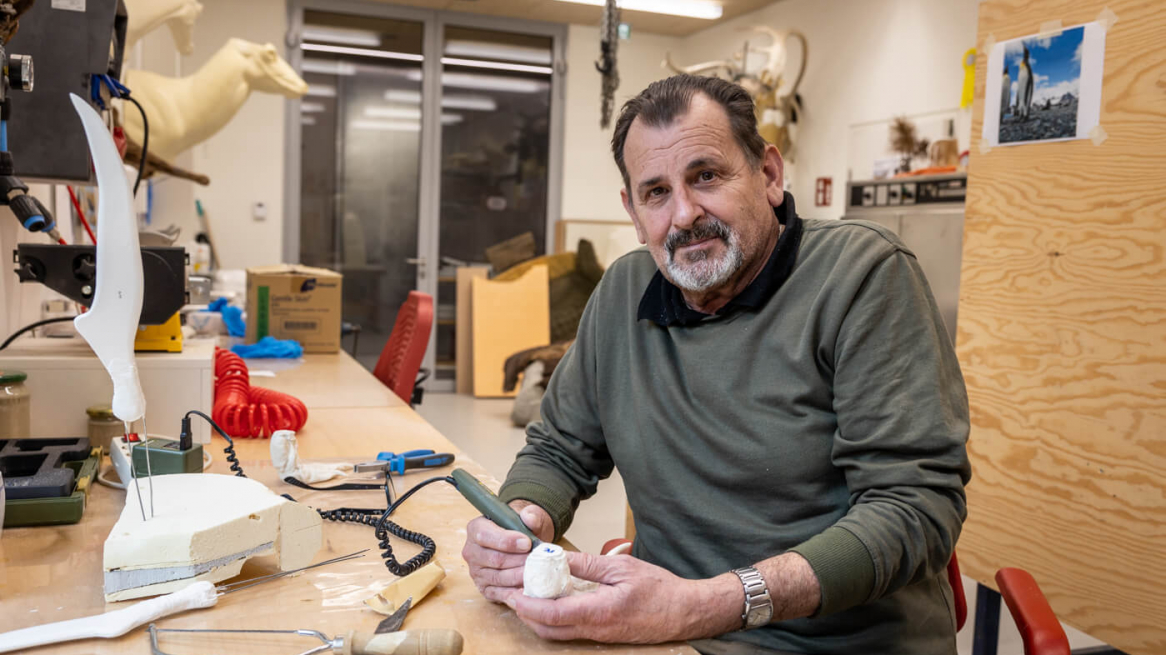 peter-morass-tierpräparator-landesmuseum-tirol-26