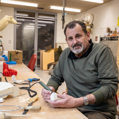 peter-morass-tierpräparator-landesmuseum-tirol-26