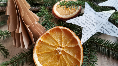 IMG_20211209_151520-01