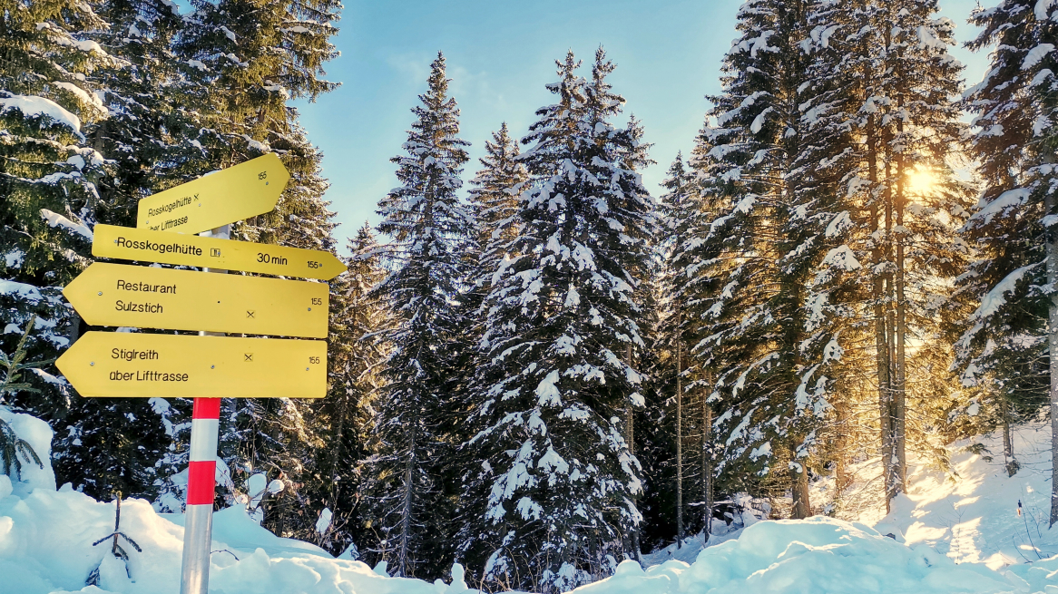 IMG_20211212_130623-01