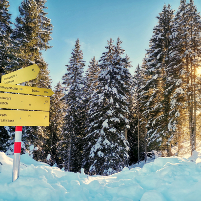 IMG_20211212_130623-01